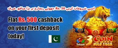 خصوصی ڈپازٹ میچ promotion